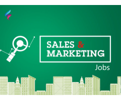 Need a candidate who searching a job in marketing feild in hapur