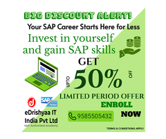 eDrishyaa IT India Pvt Ltd  SAP Authorized Training Academy