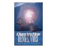 CLANDESTINE RENDEZVOUS is a mysterious novel.