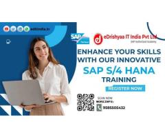eDrishyaa IT India Pvt. Ltd.  Authorized SAP Academy