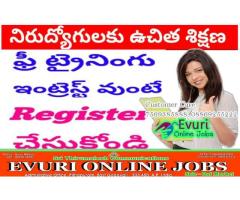 Evuri online jobs - Image 12/13