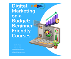 Easy Digital Marketing Programs for New Learners