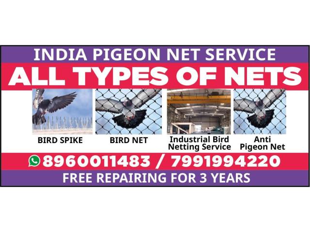 All Bird net service Bird spike - 1/5