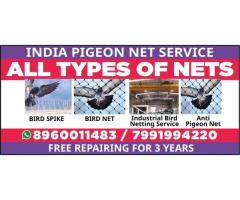 All Bird net service Bird spike - Image 1/5