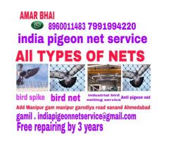All Bird net service Bird spike