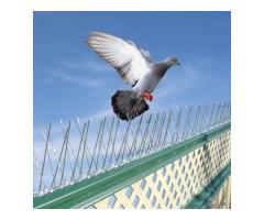 All Bird net service Bird spike - Image 3/5