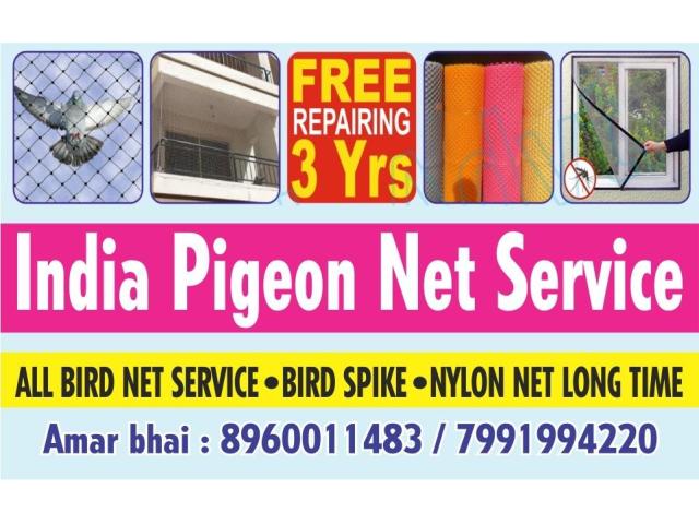 All Bird net service Bird spike - 5/5