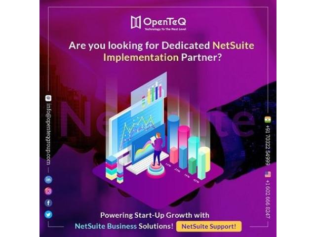 OpenTeQ: NetSuite Implementation Consultant - 4/5