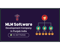 MLM Software Development Company in Punjab!
