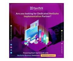 OpenTeQ: NetSuite Implementation and Consulting Services