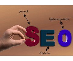 Choose the Best SEO Company In South Delhi for Organic Growth