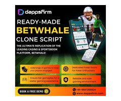 White Label Betwhale Clone Script That Puts Your Betting Brand on the Map