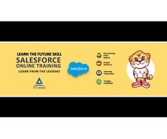 AlmaMate Info Tech | Best Salesforce Training