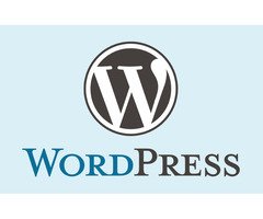 Invoidea Offers the Best WordPress Development Services in India for Custom Web Needs