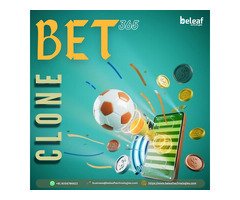 Make Money While Others Bet — Bet365 Clone Gets You There