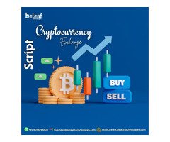 Build Your Crypto Exchange Today – The Script That Simplifies Everything