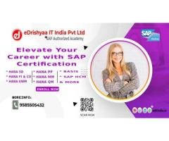eDrishyaa IT India Pvt. Ltd .......Authorized SAP Academy
