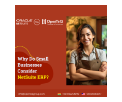 OpenTeQ: NetSuite Implementation and Consulting Services