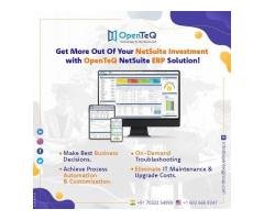 OpenTeQ: NetSuite Implementation and Consulting Services