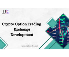 Build Elite Option Trading Infrastructure for Modern Markets