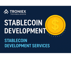 Enterprise Stablecoin Development for Secure Transactions