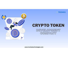 Affordable Crypto Token Development Solutions for Founders