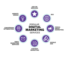 Advance Your Career with a Digital Marketing Course in Jalandhar