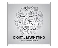 The Role of Digital Marketing Jalandhar in Business Growth