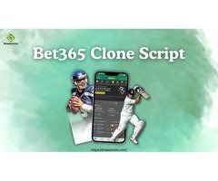 Top Rated Bet365 Clone Script | BreedCoins