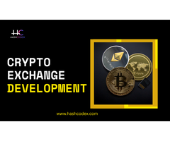 Get a Crypto Exchange That Meets User Needs Using Hashcodex