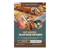 Purchase Olaparib Tablet Lower cost Philippines