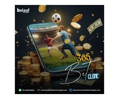 Make Millions in iGaming with a Ready-Made Bet365 Clone - Beleaf