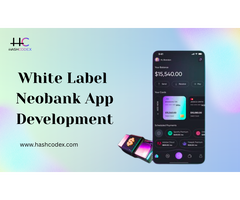 Build a Profitable White Label Neobank Today with Hashcodex