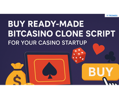 Buy Ready-Made Bitcasino Clone Script for Your Casino Startup