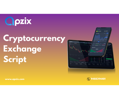 Startups' Success Begins with ApziX Crypto Exchange script