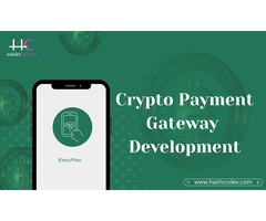 Develop a Crypto Payment Gateway with High Transaction Speed