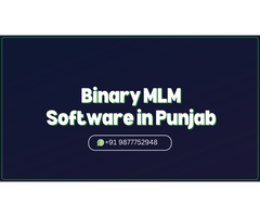 Looking for the Best MLM Software Development Company in Punjab