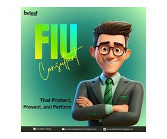 Expert FIU Consultant In India - Beleaf Technologies