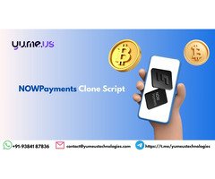 NOWPayments Clone Script For Multi-Crypto Payments!