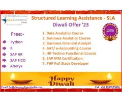 Best Business Analytics Certification Course in Delhi, Noida & Gurgaon, Free R & Python