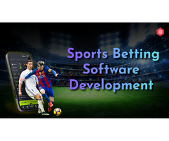 How Sports Betting Software Development Works step-by-step