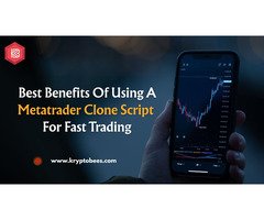 Best Benefits of Using a Metatrader Clone Script for Fast Trading