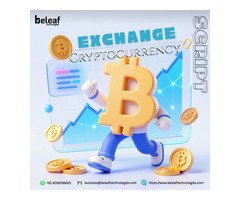 10X Your ROI with Our Proven Script Before the Bull Run Peaks