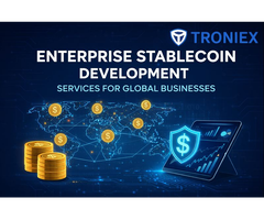 Enterprise Stablecoin Development Services for Global Businesses
