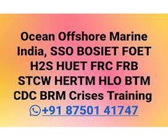 BRM HERTM H2S Hydrogen Sulphide Gas Safety Course Mumbai india