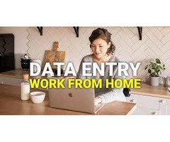 Consistent 11-Month Workload: Data Entry Project 7708244092