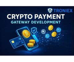 Professional Crypto Payment Gateway Development Services