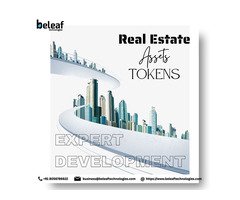 Convert Real Estate Assets into Tokens with Expert Development