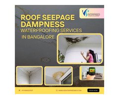 Roof Seapage Dampness Waterproofing Services in Bangalore