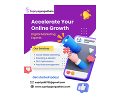 Digital Marketing Services for Digital Authority Growth